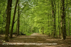 Erlebniswald Historischer Tiergarten Siegen