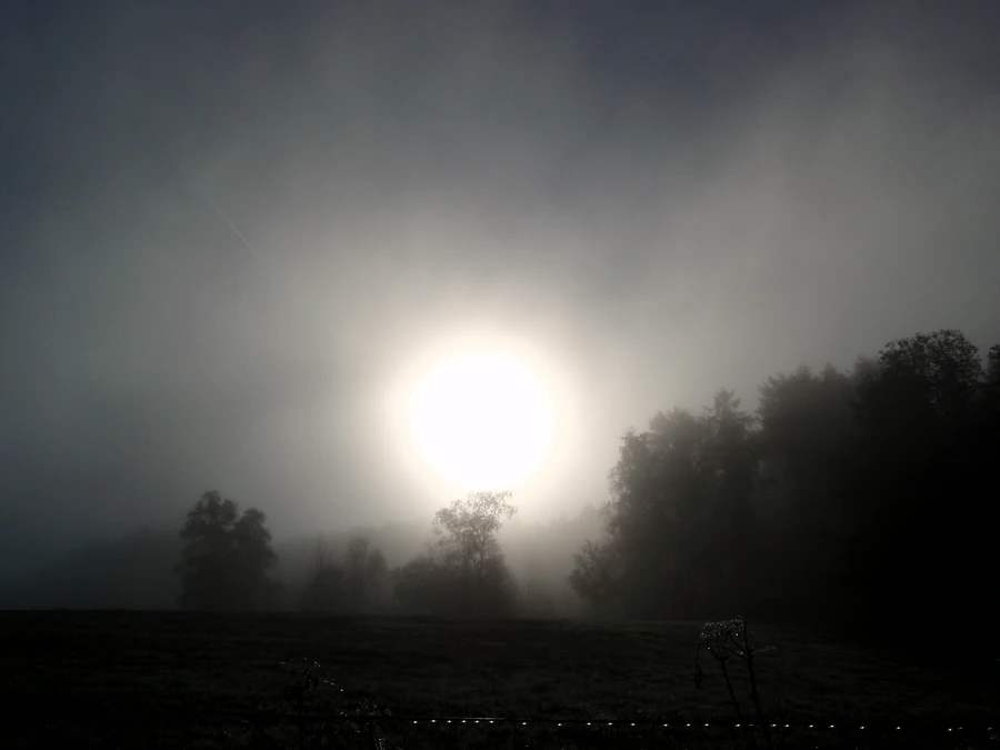 Nebelsonne Foto Susanne Thomas