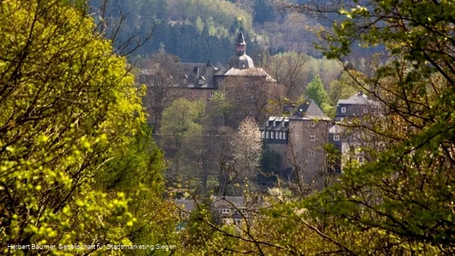 Blick zum Oberen Schloss aus Richtung Tiergarten