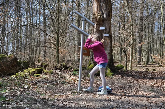 Tiergarten_Mädchen schaut durch Fernrohr