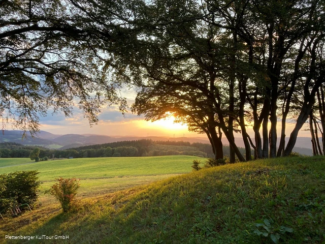 Sonneborn, Plettenberg