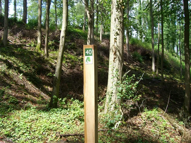 Wegezeichen Kurfürstlicher Thiergarten