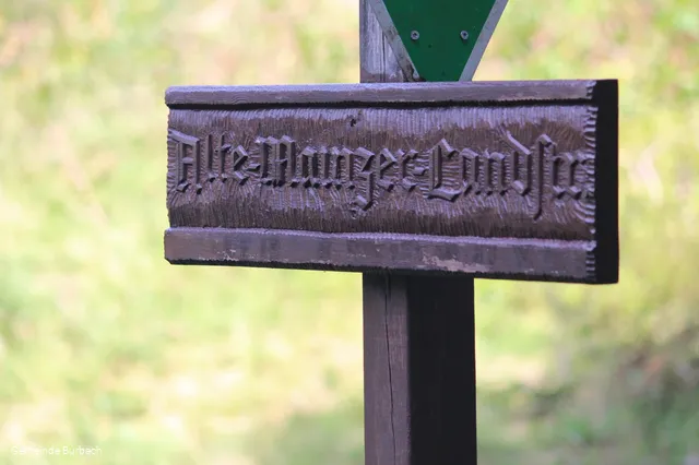 Hinweisschild Alte Mainzer Landstraße am Naturschutzgebiet Wocholderheide Gambach