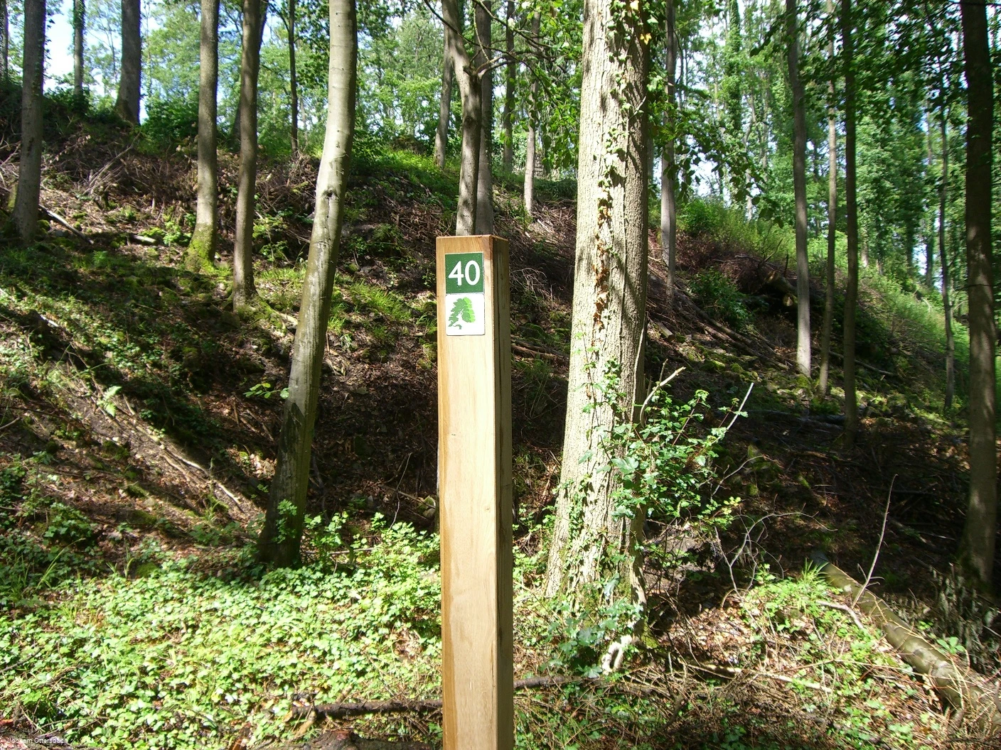 Wegezeichen Kurfürstlicher Thiergarten