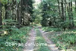 Die historische Straße im Meinerzhagener Stadtgebi