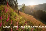 Blick auf das Sorpetal