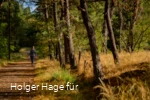Bergbauweg