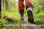 Wittgensteiner Schieferpfad