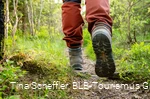 Wittgensteiner Schieferpfad