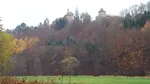 20201112_150036.jpg