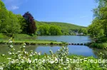 Gambachsweiher