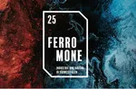 FER_2025_Teaser_Website.JPG