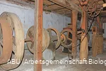 Lohner Mühle/ABU Soest