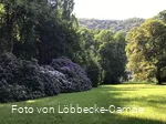 Park