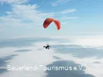 2361589