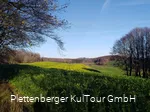 Sonneborn, Plettenberg