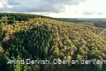 Der Sauerländer Wald ist Thema dieses Wanderweges