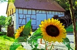 Heesfelder Mühle