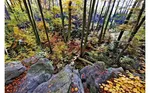 Felsenmeer Herbst Foto Pressestelle MK.jpg