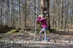 Tiergarten_Mädchen schaut durch Fernrohr