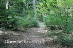 Hohlweg Haumche im Stadtgebiet von Meinerzhagen