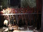 Arbeitsgeräte - Zangensortiment Krenzer Hammer