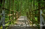 Ederquelle - Steg Quellgebiet