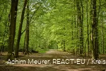 Erlebniswald Historischer Tiergarten Siegen