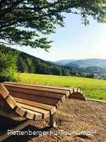 Waldsofa am Tanneneck, Plettenberg