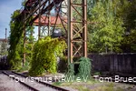 Henrichshütte Gerüst mit Pflanzen