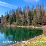Das Ufer der Genkeltalsperre im Frühjahr
