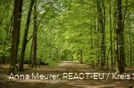Erlebniswald Historischer Tiergarten Siegen