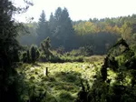 Burbach_Landschaft.jpg