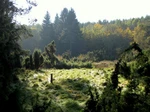 Burbach_Landschaft.jpg