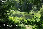 Die Mühlenteiche