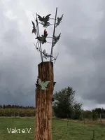 Der Scheuerpfahl Tauben