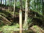 Wegezeichen Kurfürstlicher Thiergarten