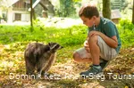 Tierpark Niederfischbach