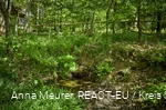 Ederquelle