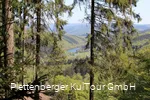 Blick auf die Oestertalsperre vom Sauerland-Höhenflug