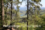 Blick auf die Oestertalsperre vom Sauerland-Höhenflug