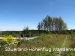 Pfad am Hegenscheid